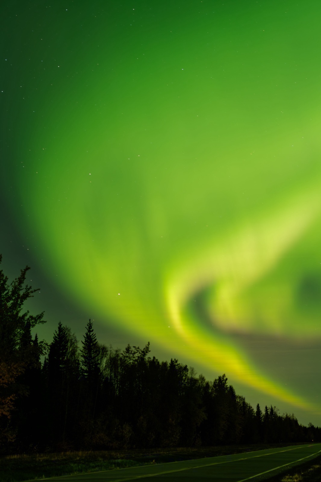 Denali & Fairbanks, Interior Alaska, USA