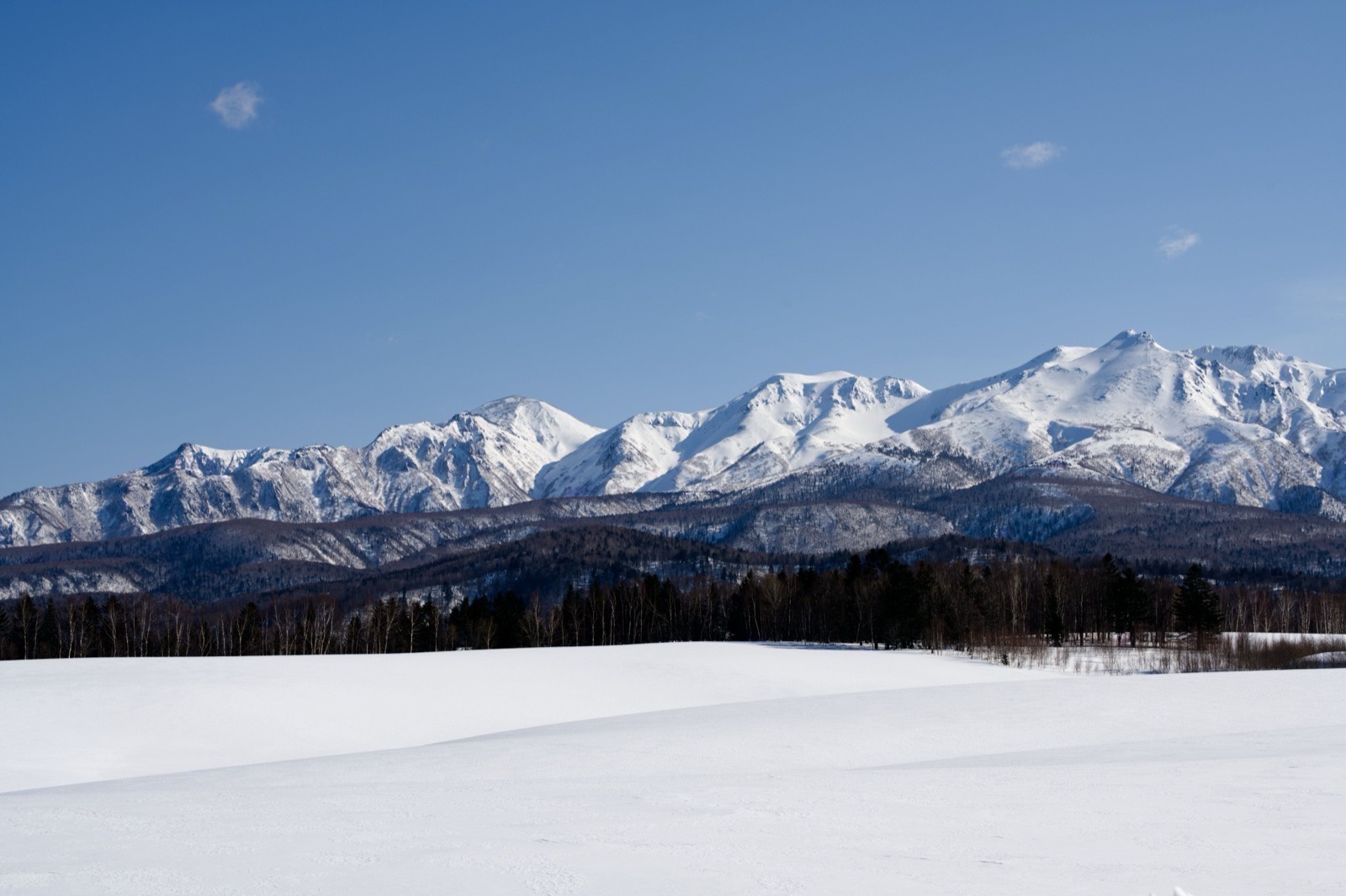 Hokkaido Powder, Niseko, Hokkaido, Japan